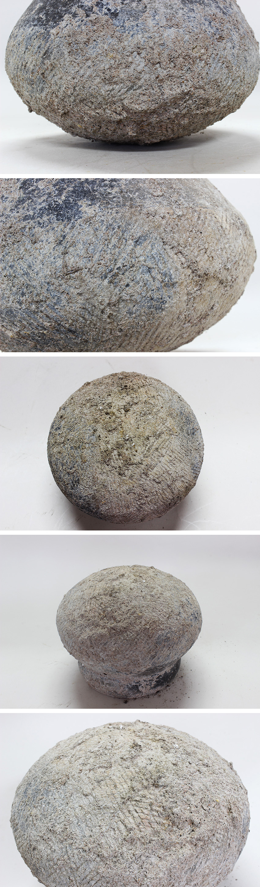 オフィスharip　紀元前 バンチェン土器 発掘品 文化 土器